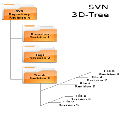 SVN Structure